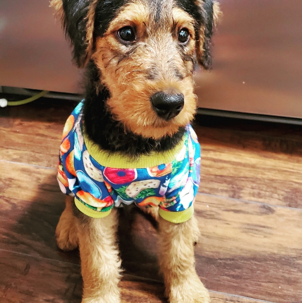 Cute burger pijamas